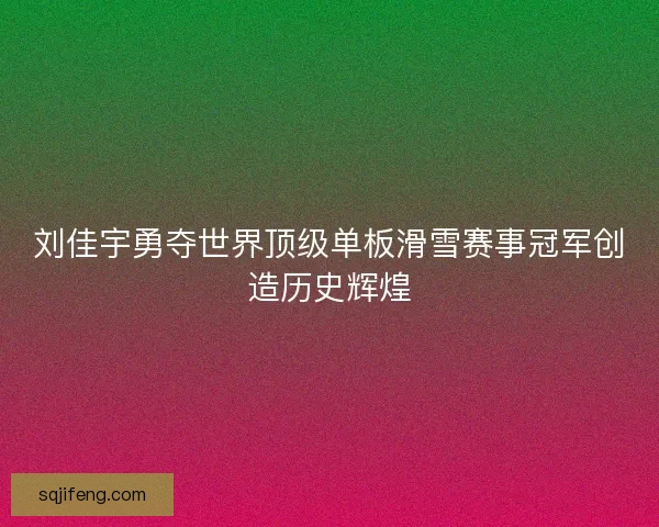 刘佳宇勇夺世界顶级单板滑雪赛事冠军创造历史辉煌
