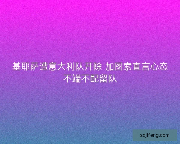 基耶萨遭意大利队开除 加图索直言心态不端不配留队